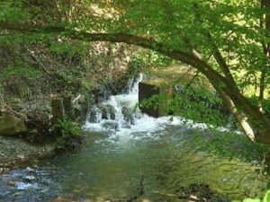 Wohnmobilstellplatz Moseltherme Traben-Trarbach