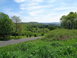 Wohnmobilstellplatz Taunusblick