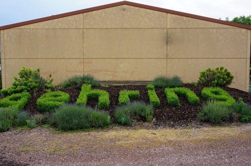 Wohnmobilstellplatz am Weingut Gehring Wohnmobilstellplatz am Weingut Gehring