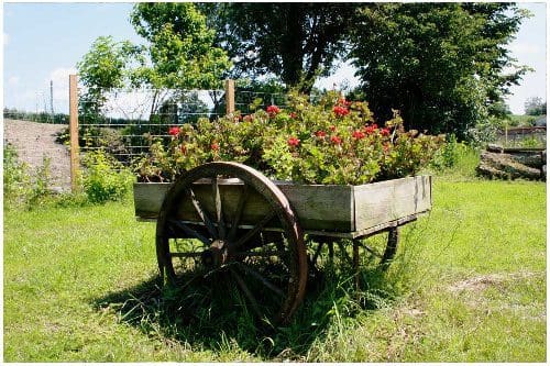 Wohnmobilstellplatz auf dem Alpakahof