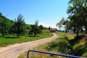 Wohnmobilstellplatz am Weingut Köbelin