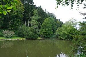 Wohnmobilstellplatz am Waldsee