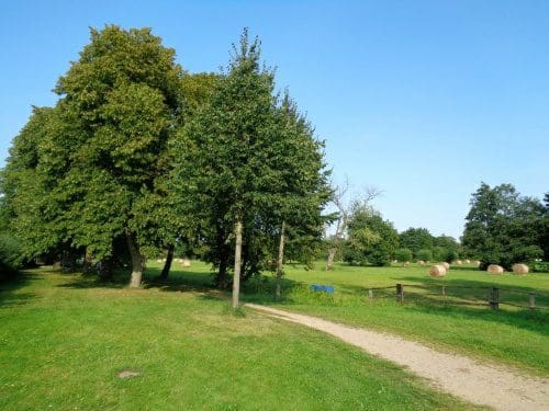 Wohnmobilstellplatz am Gleviner Platz