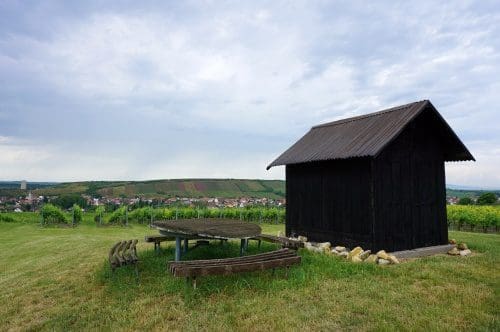 Wohnmobilstellplatz am Weingut Gehring Wohnmobilstellplatz am Weingut Gehring