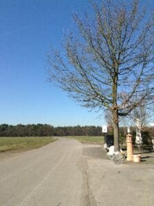 Wohnmobilstellplatz am Landhotel Zur Heide