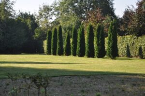 Campingplatz Tante-Henni Campingplatz Tante-Henni