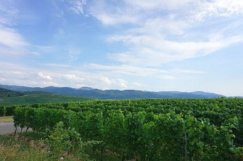 Wohnmobilstellplatz Batzenberg Festplatz