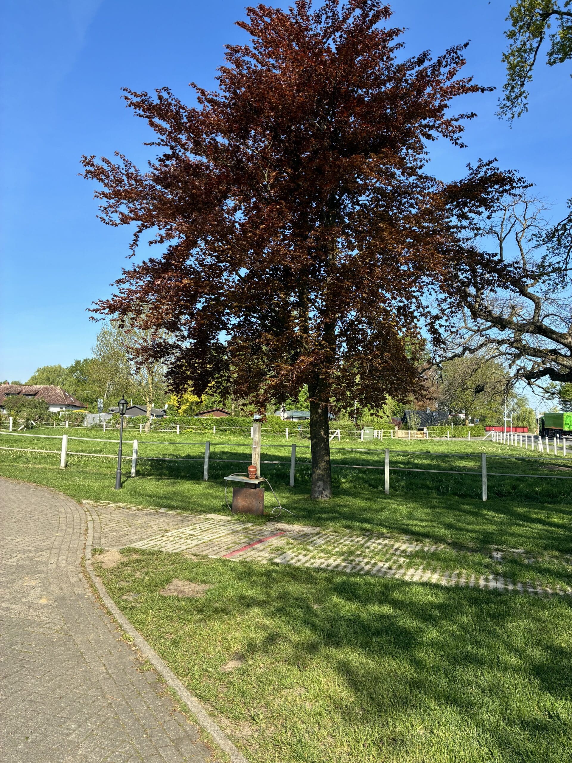 Wohnmobilstellplatz am Dümmer See in Lembruch