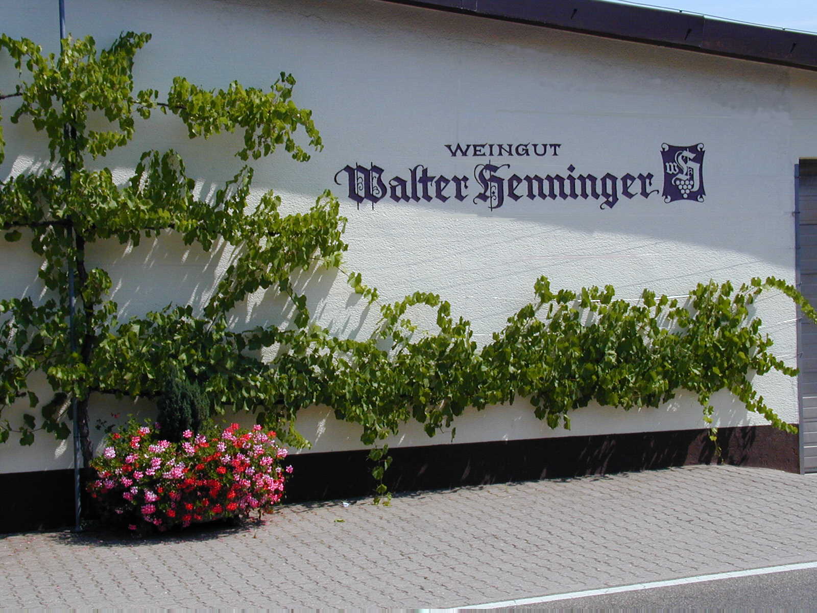 Wohnmobilstellplatz beim Weingut Henninger