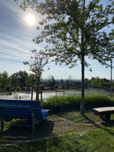 Wohnmobilstellplatz MobilPark Relax