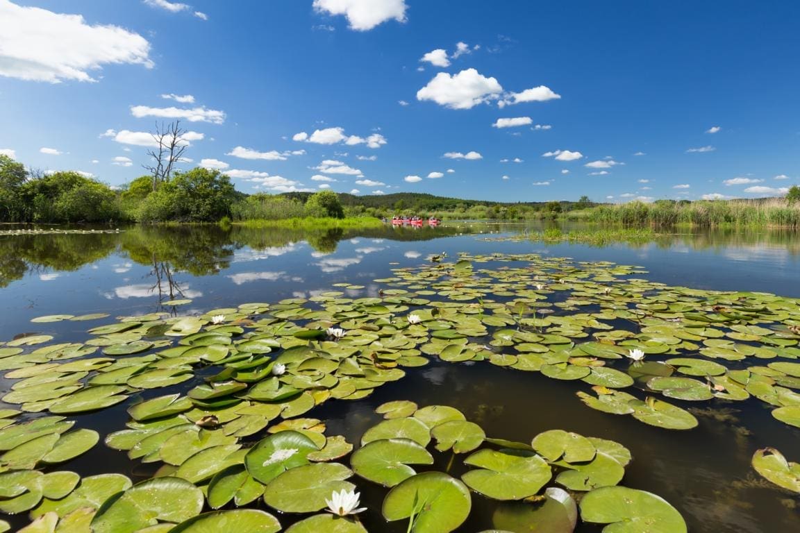 Wohnmobilstellplatz in Salem am Kummerower See