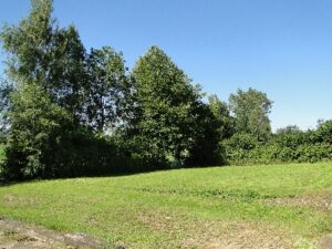 Wohnmobilstellplatz am Ferienhof Fröhling Wohnmobilstellplatz am Ferienhof Fröhling