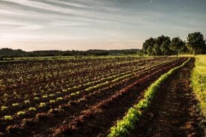 Wohnmobilstellplatz Meier Hio Hilzhof Wohnmobilstellplatz Meier Hio Hilzhof