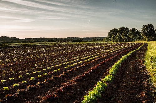 Wohnmobilstellplatz Meier Hio Hilzhof