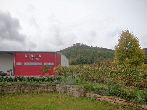 Wohnmobilstellplatz am Weingut Müller-Kern