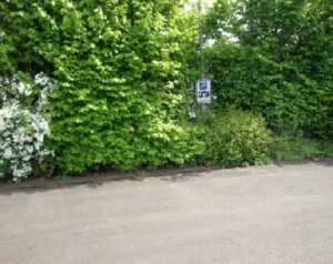 Stellplatz an der Festhalle in Monzingen Wohnmobilstellplatz an der Festhalle in Monzingen