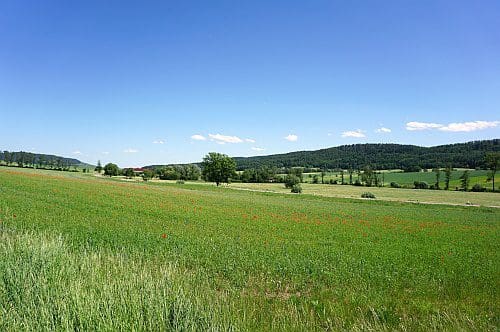 Wohnmobilstellplatz am Weingut Zaiß