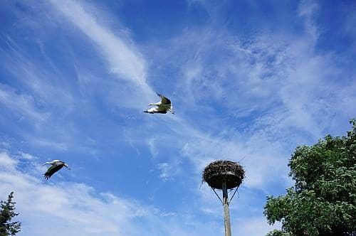 Wohnmobilstellplatz Marth in Letschin