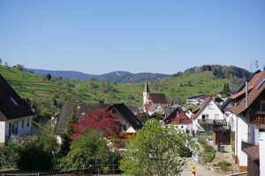 Wohnmobilstellplatz am Reichenbach