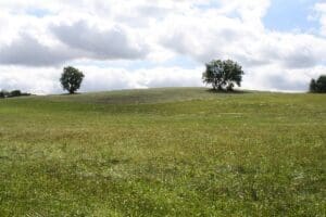 Wohnmobilstellplatz am Bauernhausmuseum