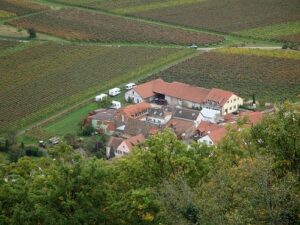 Wohnmobilstellplatz Weingut Rebenhof