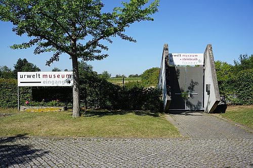 Wohnmobilstellplatz am Urweltmuseum Hauff