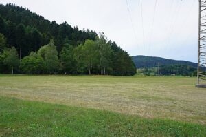 Wohnmobilstellplatz am Waldsee